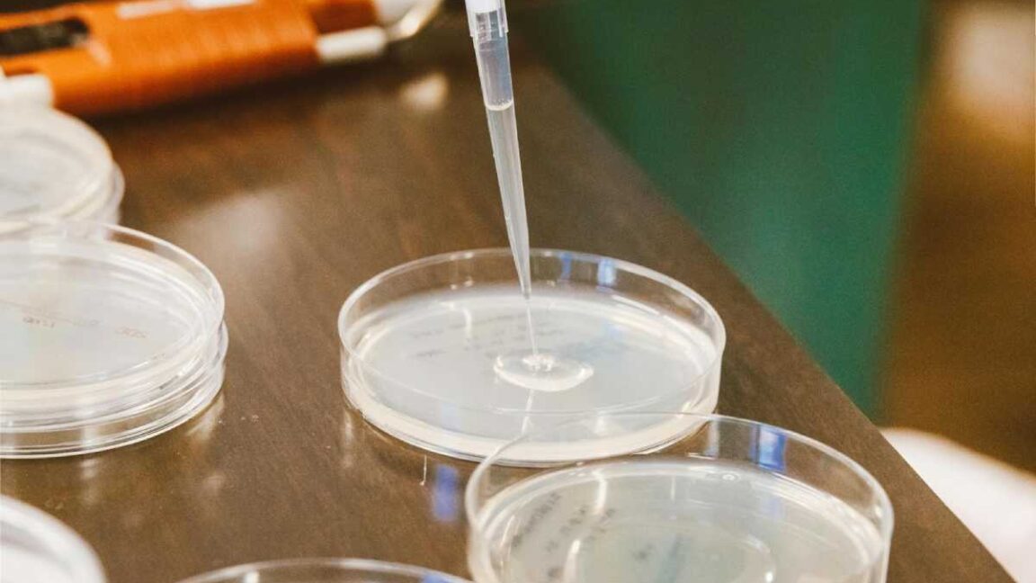 automated dispensing