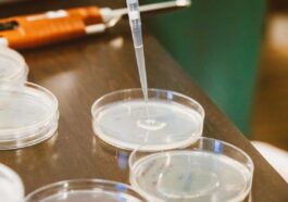 automated dispensing