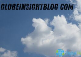 Globeinsightblog com